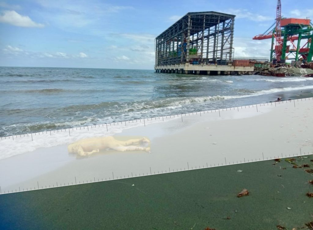 Mayat Tanpa Identitas Ditemukan di Pantai, Identifikasi Masih Dilakukan