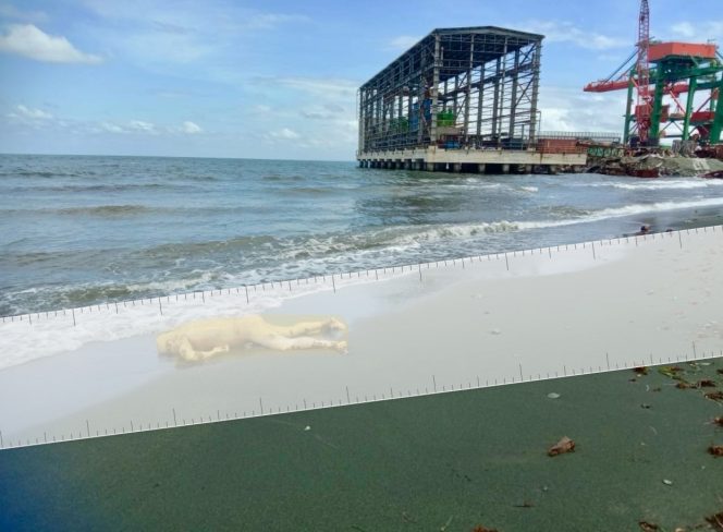 
 Mayat Tanpa Identitas Ditemukan di Pantai, Identifikasi Masih Dilakukan