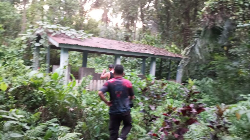 Polsek Ibu Diduga Lamban Tangani Kasus Pencurian Kelapa