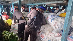 Tim Ops Pekat Polda Malut Amankan Ratusan Kantong Miras Cap Tikus