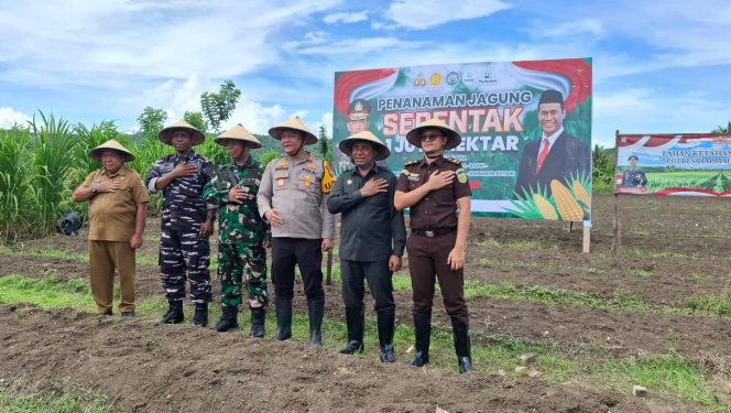 
 Haltim Dukung Program Prabowo-Gibran, Luncurkan Penanaman Serentak 100 Hektar Jagung