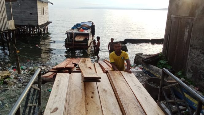 
 Kayu Ilegal Beredar di Halsel, Polisi Dinilai Tak Bertindak Tegas