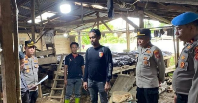 
 Tambang Emas Kusubibi Disegel, Polres Halsel Police Line 57 Tromol