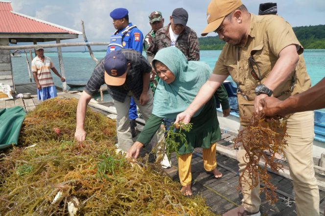 
 Staf Ahli Gubernur Bidang Ekonomi, Keuangan, dan Pembangunan, Abdullah Assagaf