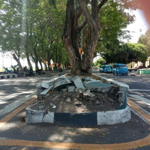 Jalan Rusak di Bandara Ternate, Akar Pohon Jadi Biang Masalah