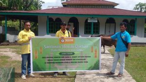 Sambut Idul Adha, NHM Salurkan 61 Sapi Kurban ke Warga Lingkar Tambang