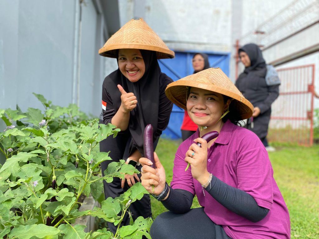 Lapas Perempuan Ternate Panen Terong, Wujud Dukungan Ketahanan Pangan