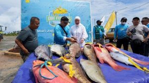 Obi Fishing Tournament: Saat Laut dan Manusia Saling Menjaga