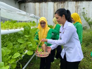 Kalapas Ternate dan PIPAS Panen Sayur Hidroponik dari Warga Binaan