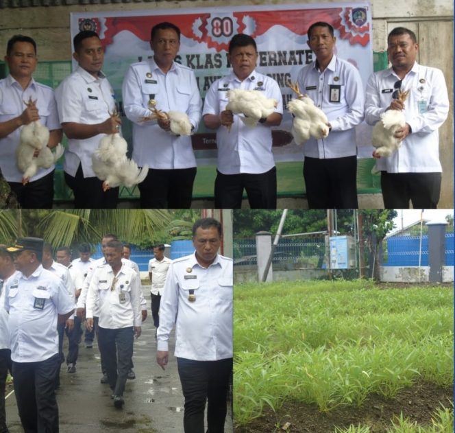 Warga Binaan Lapas Ternate Panen Ayam Potong, Kakanwil Ditjenpas Malut Apresiasi Program Ketahanan Pangan