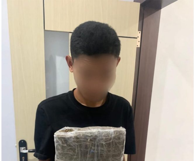 
 Mahasiswa Ternate Ditangkap Bawa Ganja Setengah Kilo