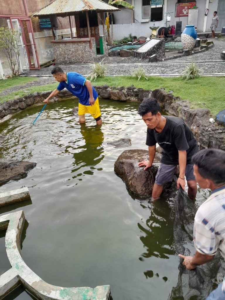 Rutan Ternate Panen Ikan Nila, Bukti Nyata Ketahanan Pangan di Balik Jeruji
