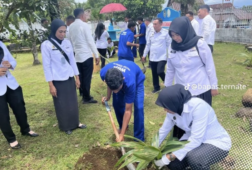 Bapas Ternate Dukung Penghijauan, Tanam Ribuan Pohon Kelapa