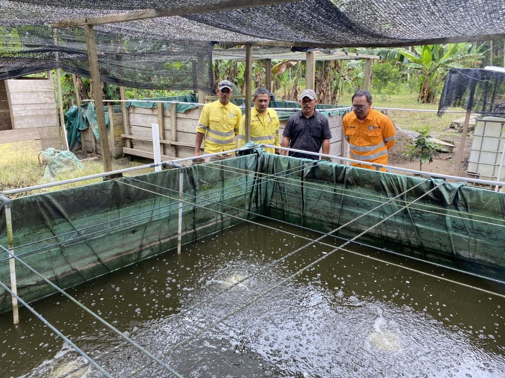 NHM Dukung Pengembangan Ekonomi Desa Soahukum Lewat Budidaya Ikan Nila Modern