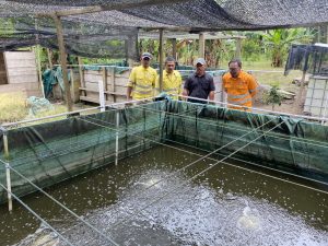 NHM Dukung Pengembangan Ekonomi Desa Soahukum Lewat Budidaya Ikan Nila Modern