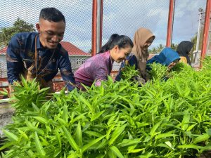 Panen Raya Warnai Transformasi Pemasyarakatan di LPP Ternate