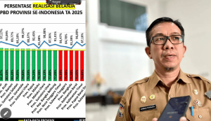 Realisasi APBD 2025 Maluku Utara Masuk Zona Hijau