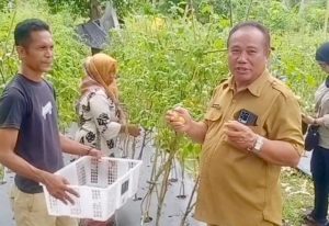 Maluku Utara Perluas Lahan Hortikultura untuk Ketahanan Pangan