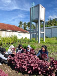 Awal Tahun 2026, Lapas Perempuan Ternate Panen Sayur Dukung Asta Cita Menimipas