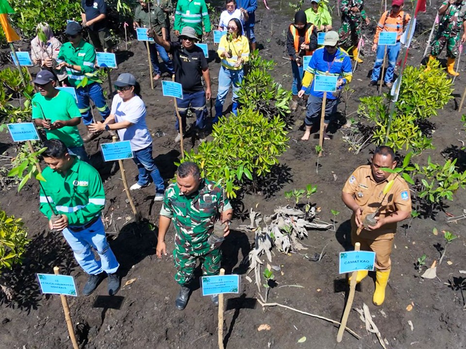 NHM Perkuat ESG Lewat Penanaman Mangrove di Kao