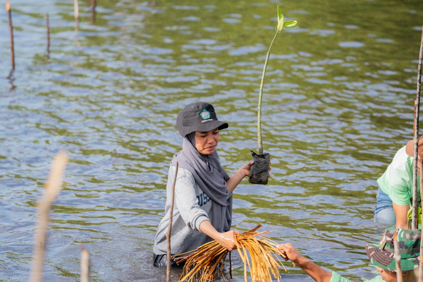 PT Positon Lanjutkan Perawatan 1.800 Mangrove di Pantai Kasuari