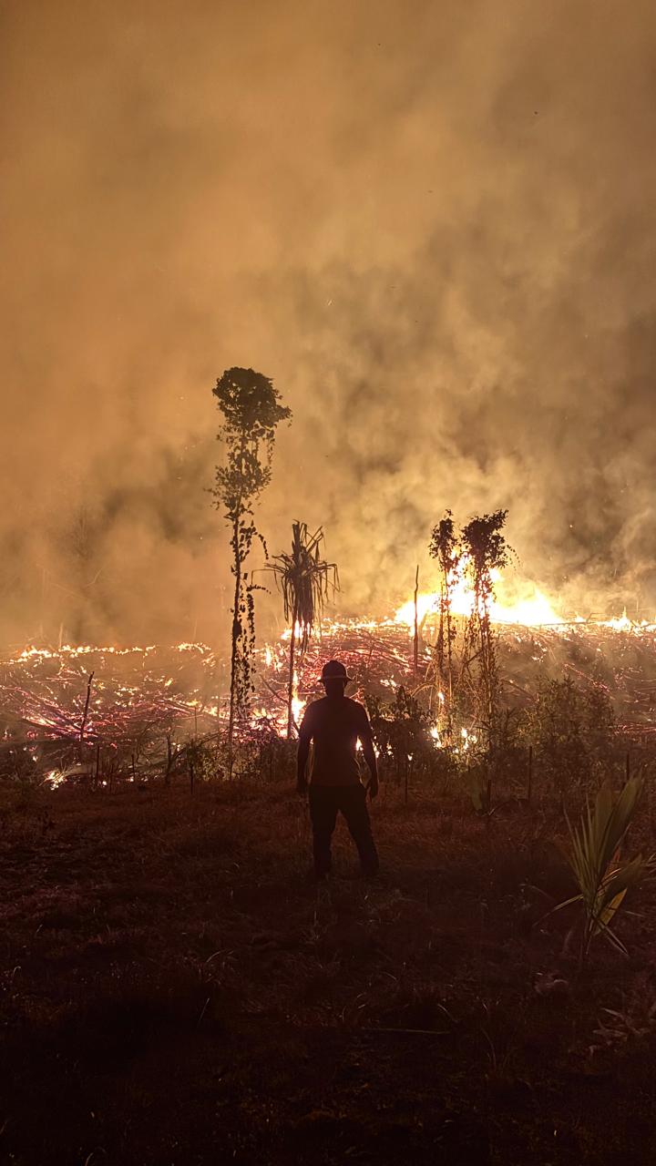 Puluhan Hektar Kebun Hangus, Api Kepung Malifut hingga Kao