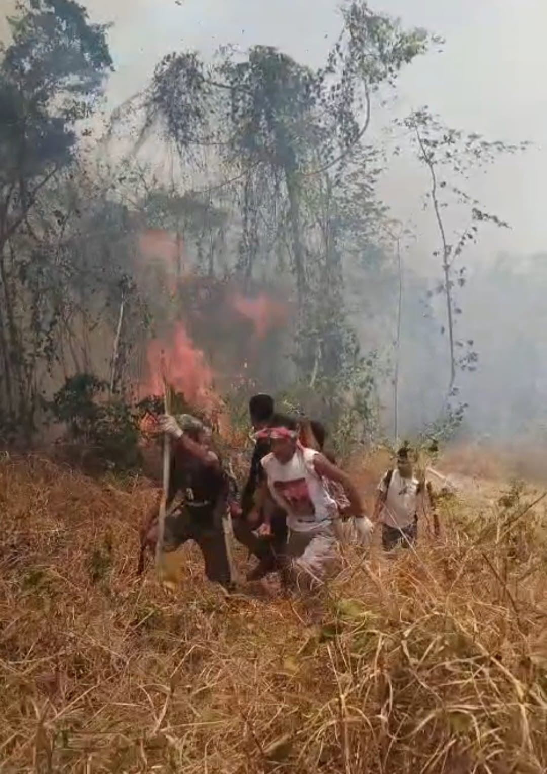 Kebakaran Meluas di Malifut, Antho Soroti Lemahnya Mitigasi Pemerintah